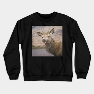 Scottish Highland Deer Crewneck Sweatshirt